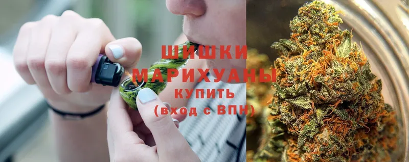 Бошки марихуана White Widow  магазин продажи наркотиков  Кызыл 